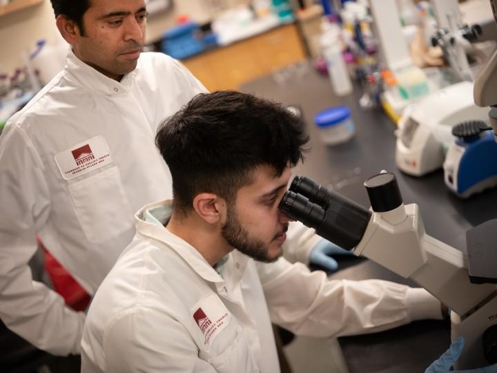 A student looks through a microscope during lab